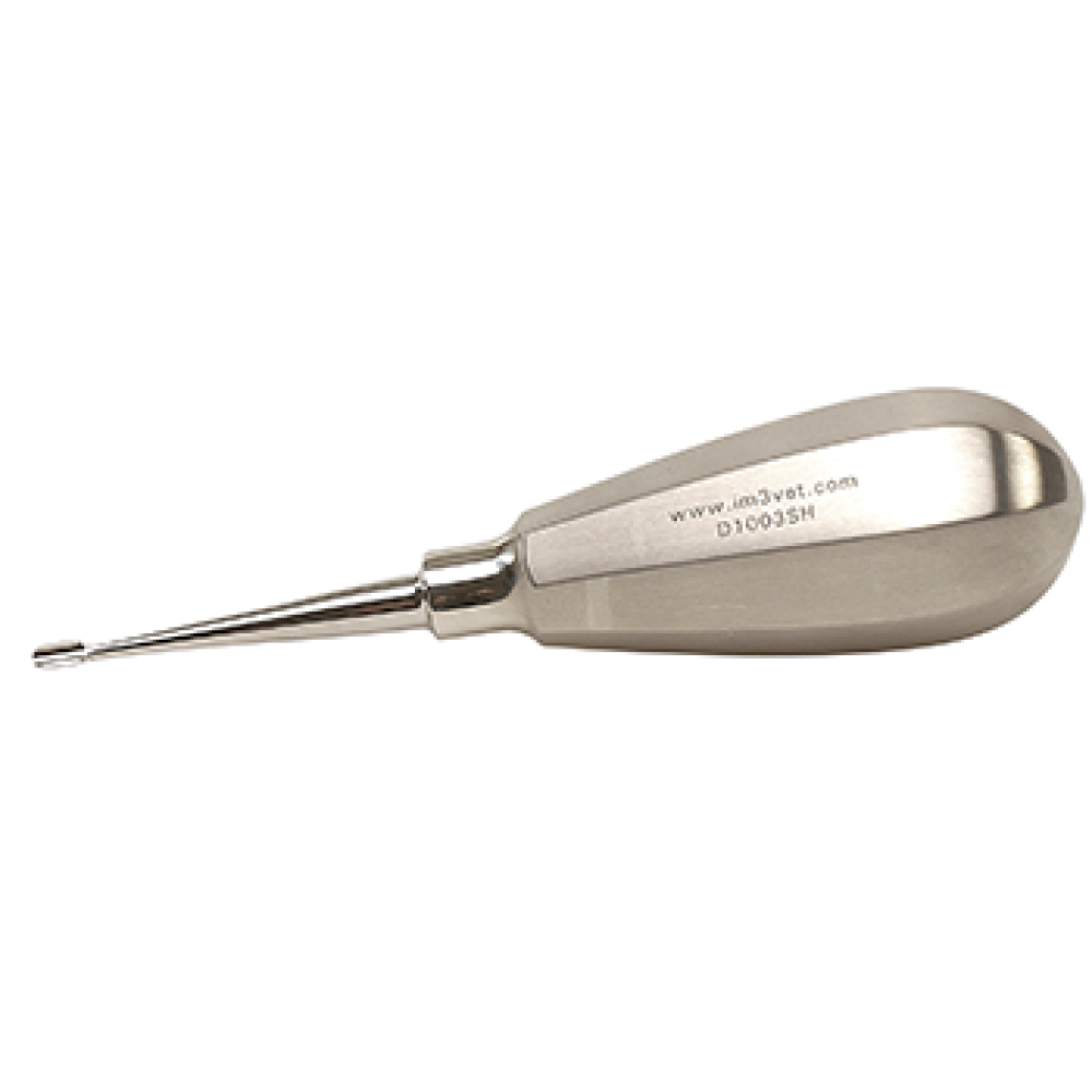 Veterinary Dental Instrument