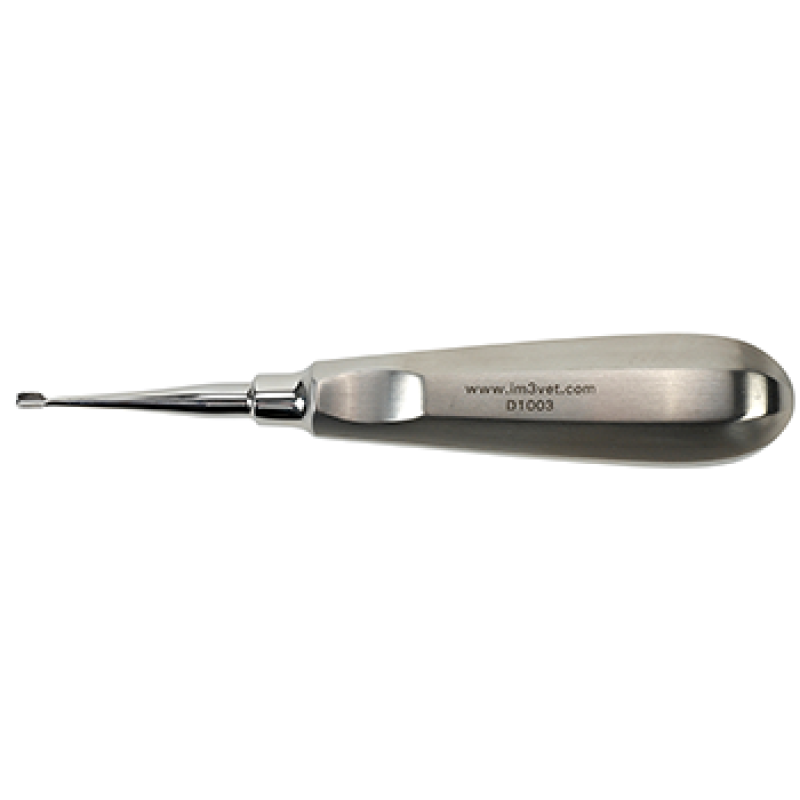 Veterinary Dental Instrument