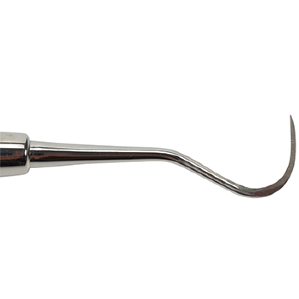 Veterinary Dental Instrument