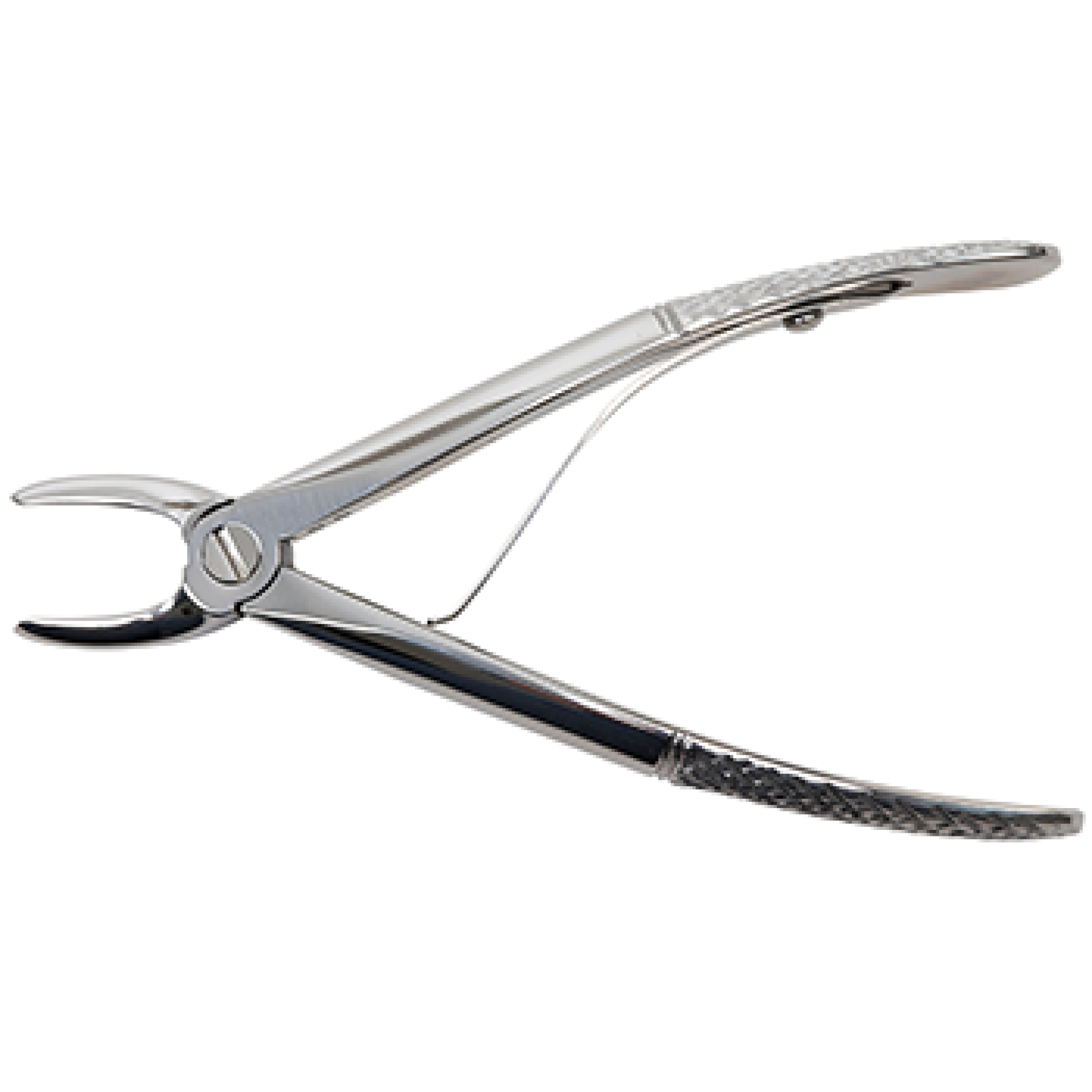 Veterinary Dental Instrument