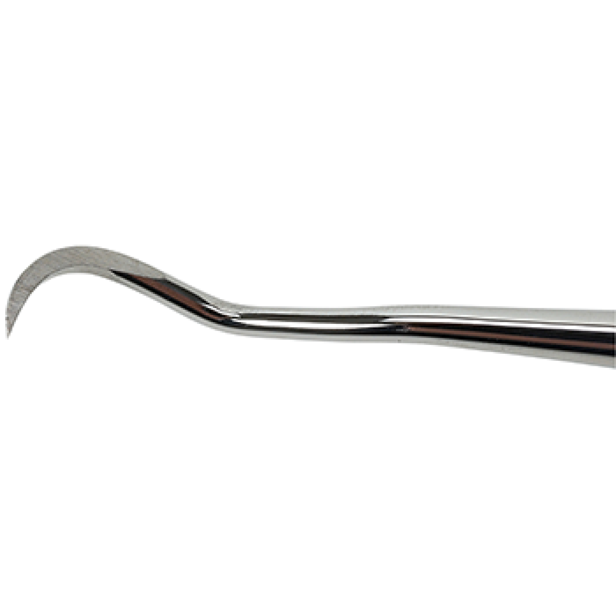 Veterinary Dental Instrument