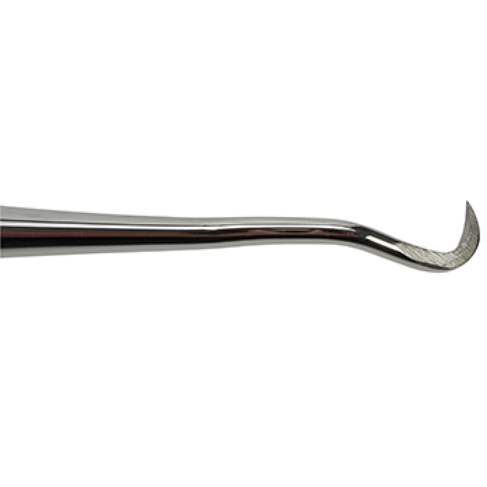Veterinary Dental Instrument